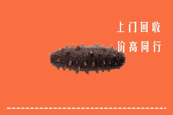 高价求购：上饶市万年回收海参