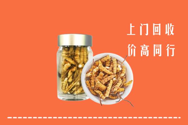 收购行情：上饶市万年回收冬虫夏草
