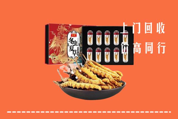 收购行情：上饶市万年回收虫草